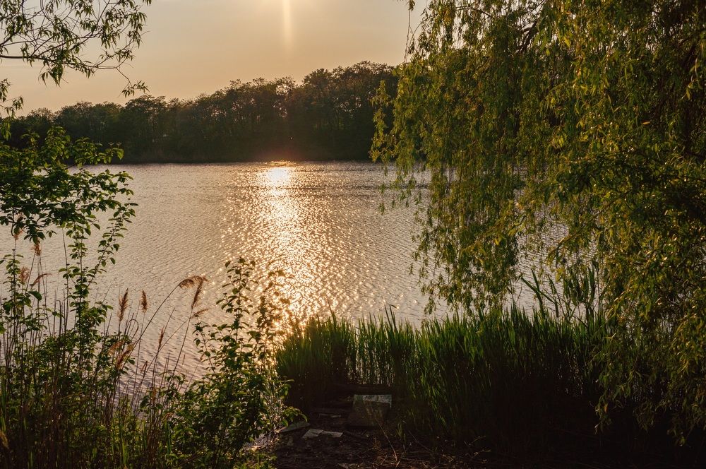 Photograph by Валентина Михайлова