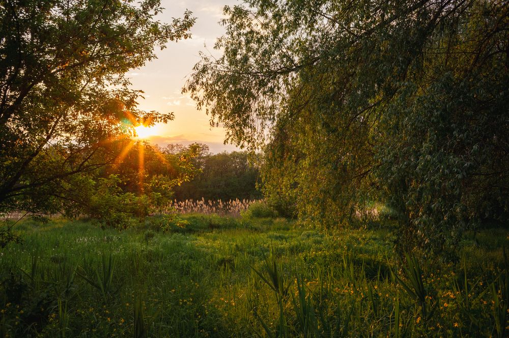 Photograph by Валентина Михайлова