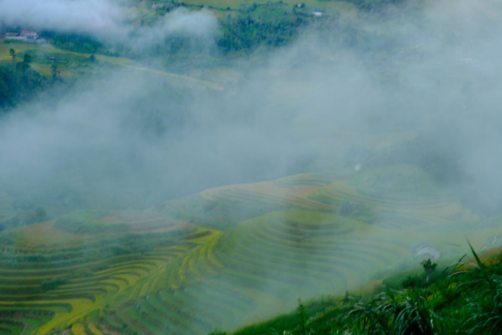 Photograph by Lai bich lien