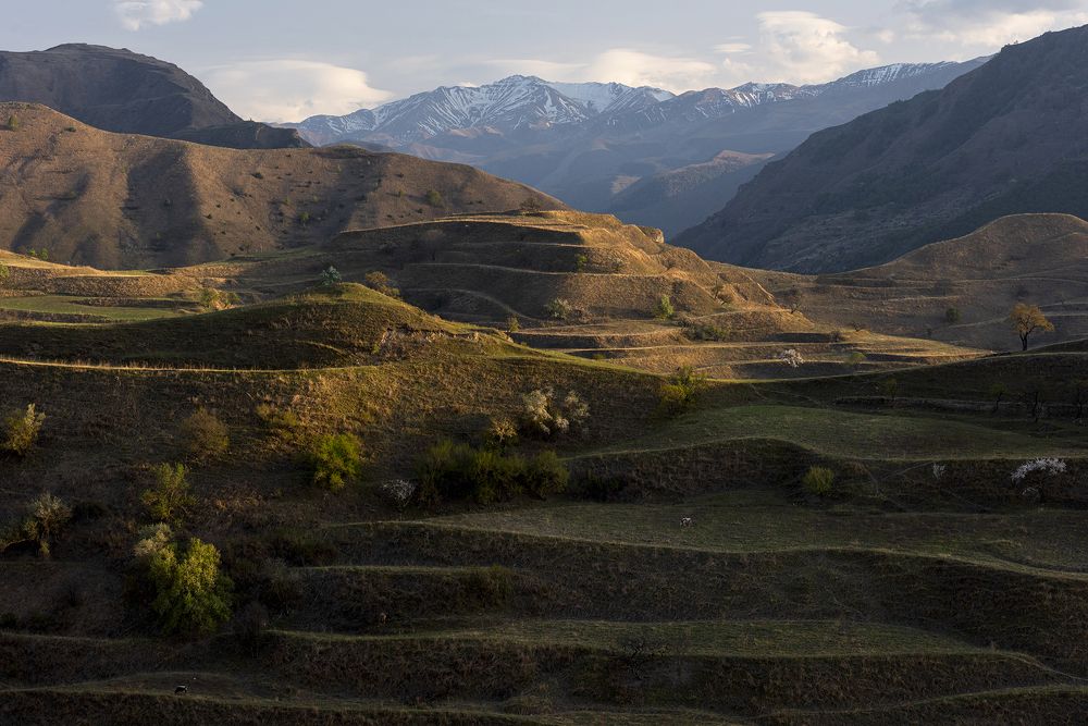 Photograph by Елена Вторушина