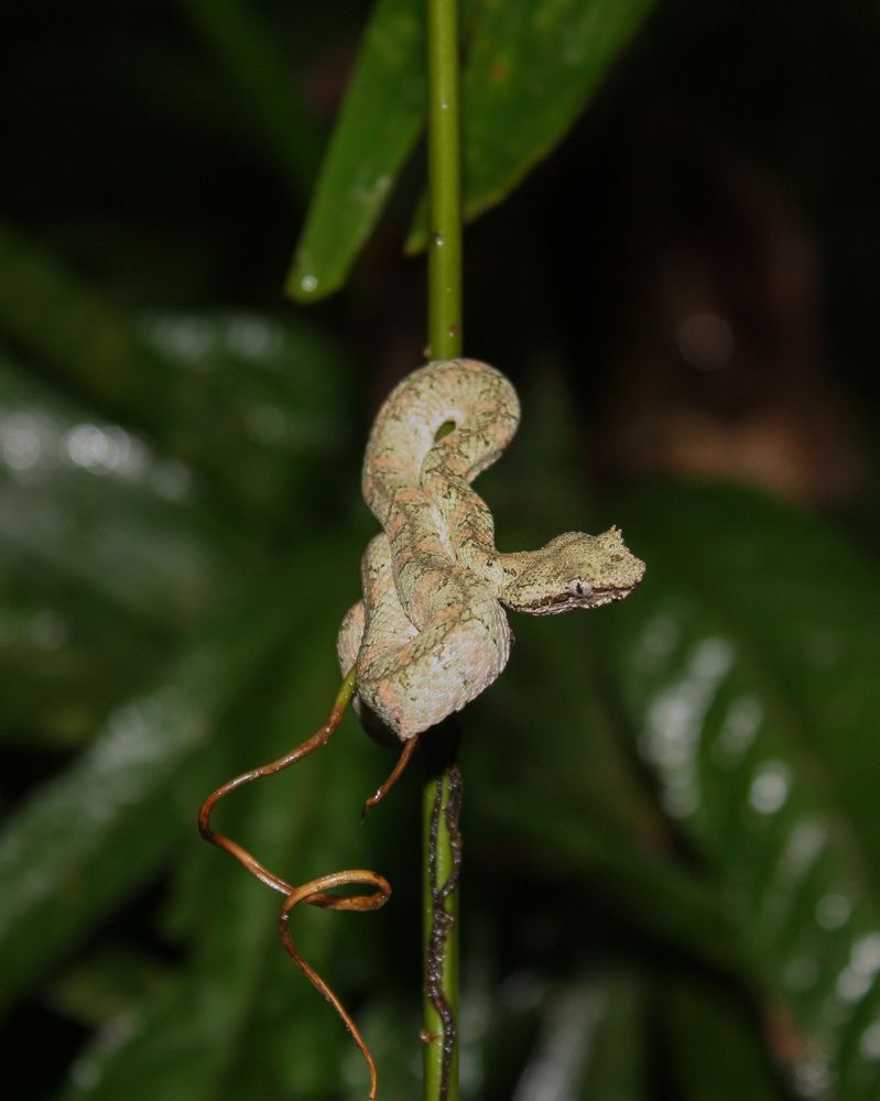 Фотография автора Марина Алексеевская