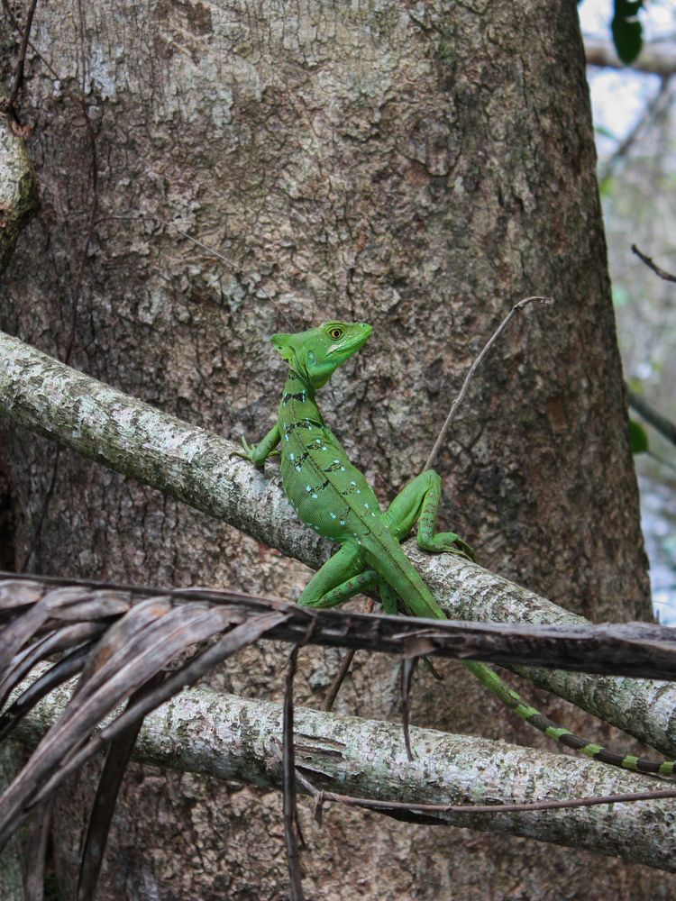 Фотография автора Марина Алексеевская