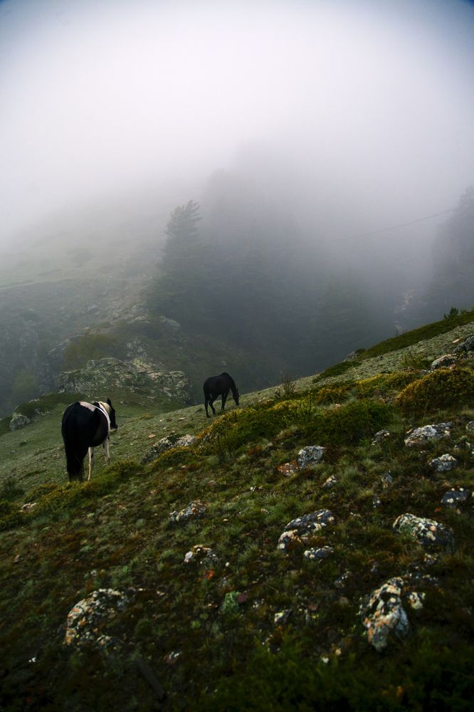 Photograph by Евгения Занадворова