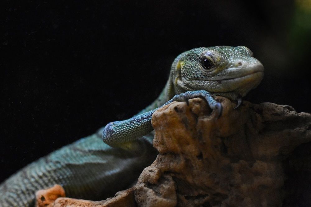 Photograph by Татьяна Юдина