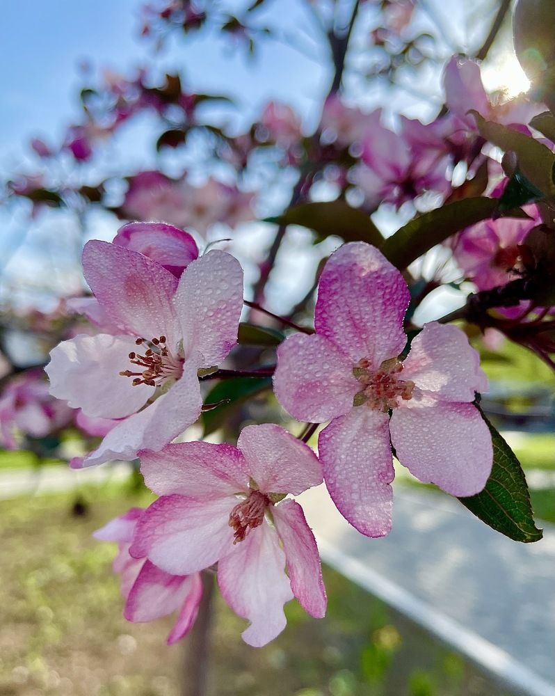 Photograph by Светлана Хохлова