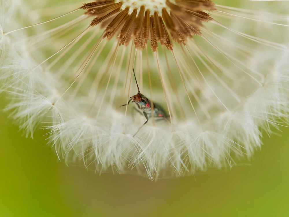 Photograph by Peter Hrubovsky