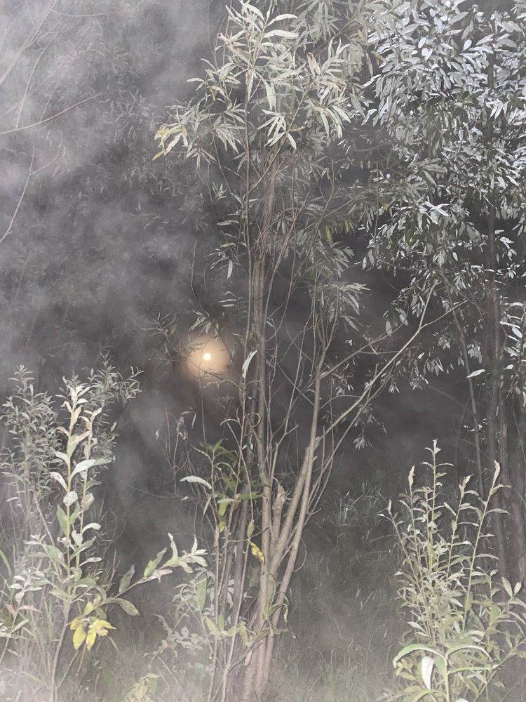 Photograph by Елена Мусина