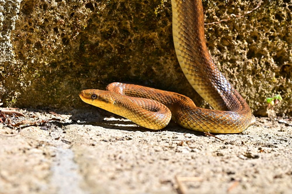 Photograph by Светлана Ивановна