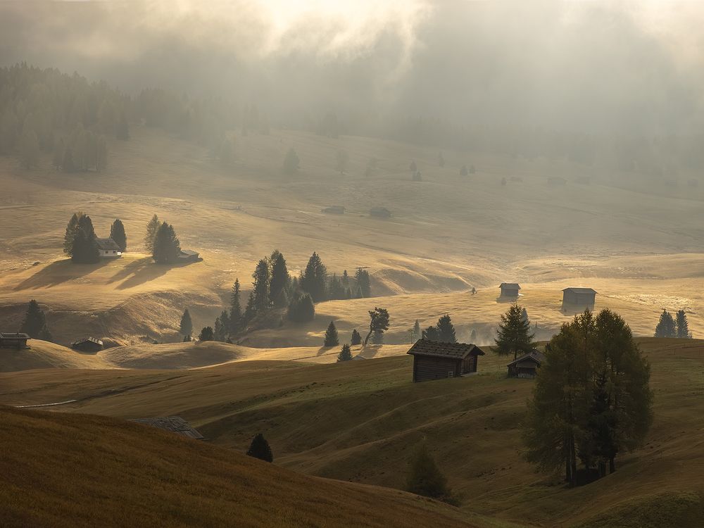 Photograph by Минаева Вера