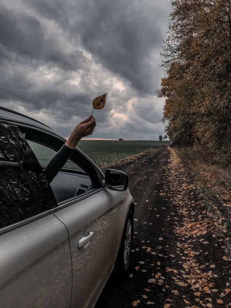 Photograph by Елена Сиушова