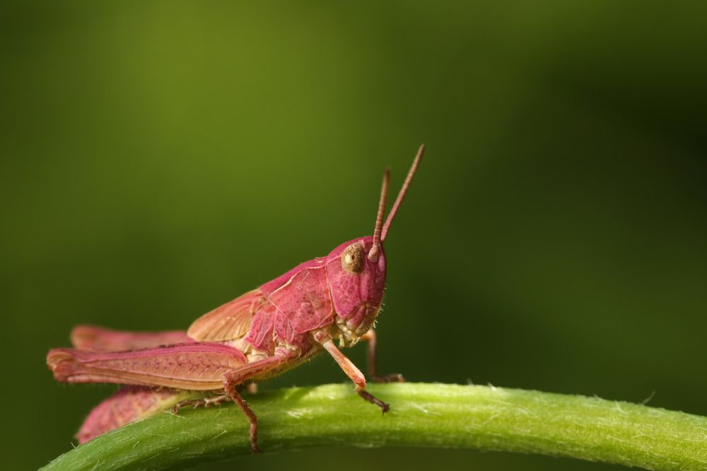 Photograph by Наталья Гайдукевич