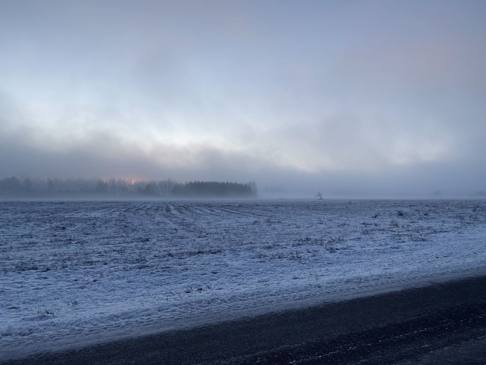 Photograph by Elena Kravchenko