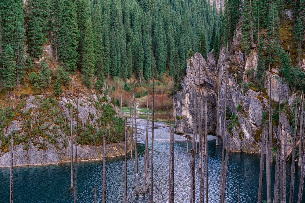 Фотография автора Лазарев Сергей