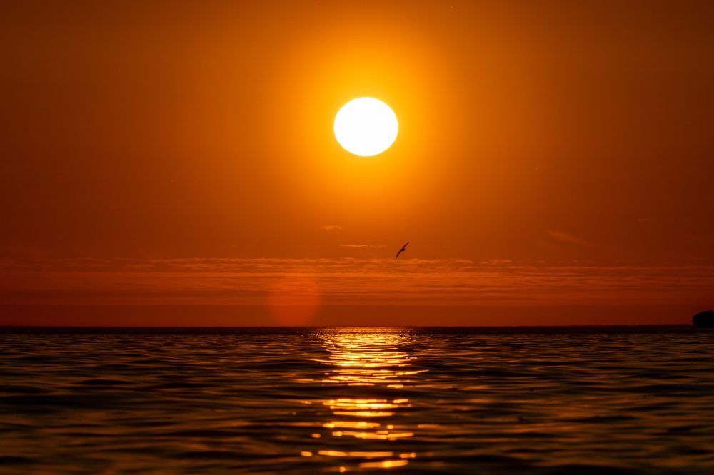 Photograph by Dmitriy Konstantinov