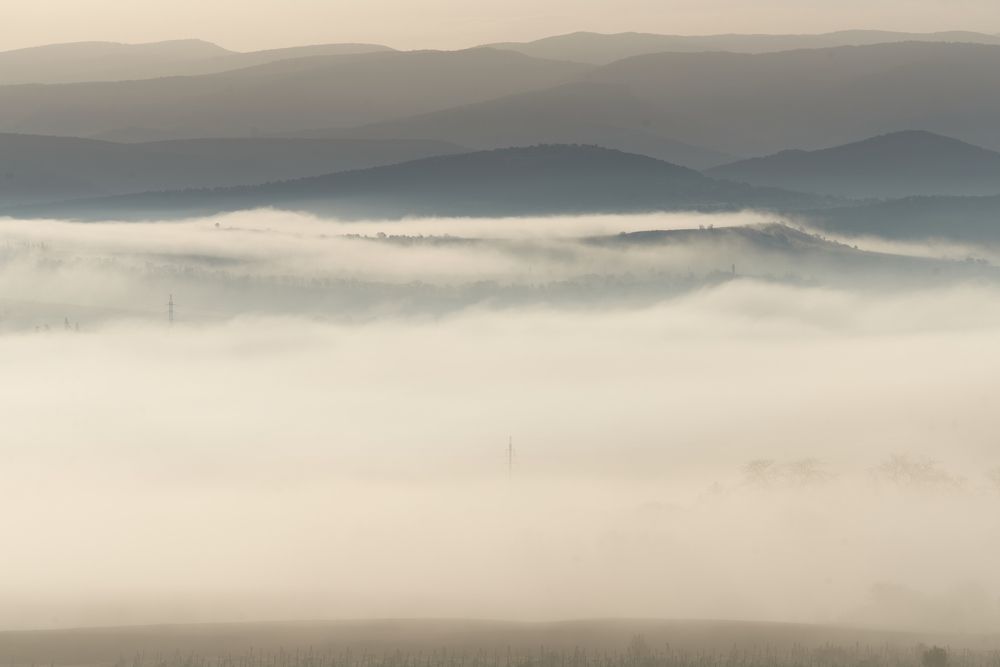 Photograph by Артем Колосов