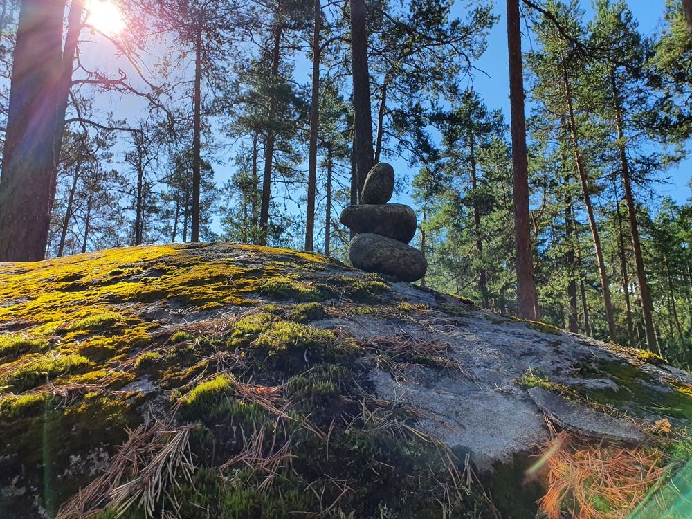 Photograph by Dmitriy Konstantinov