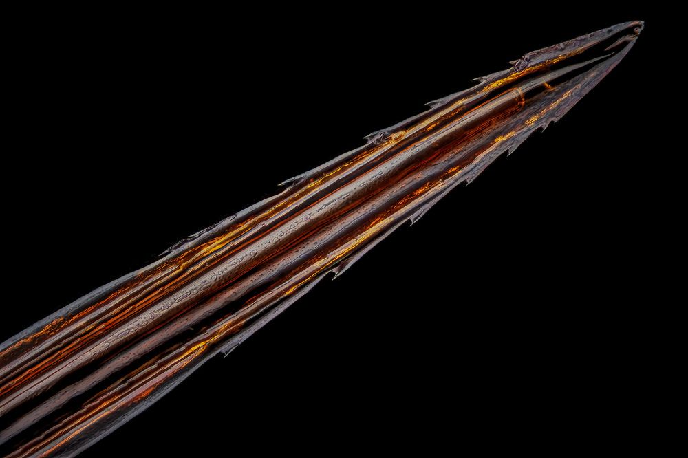 Photograph by Rastislav Borovsky