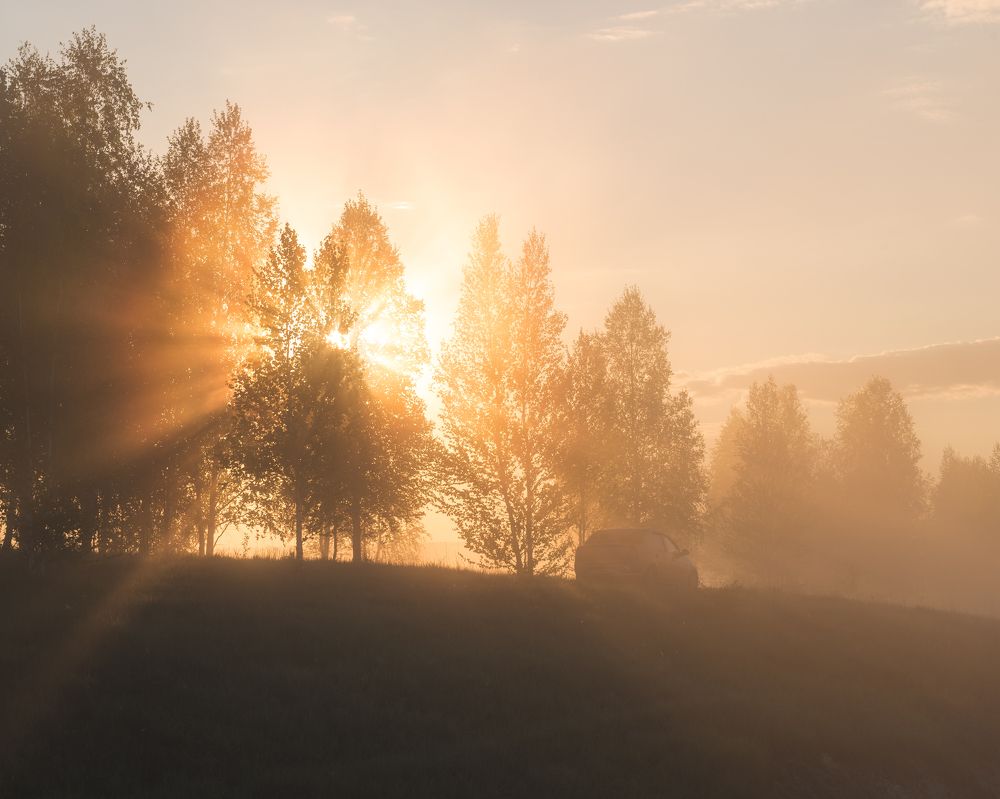 Фотография автора Тимофей Трямкин