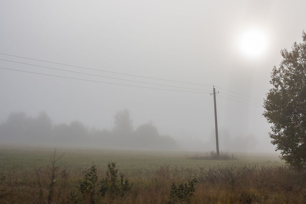 Photograph by Елена Шахова