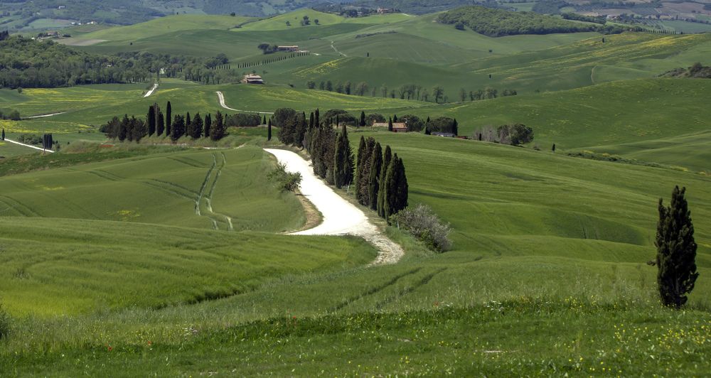 Photograph by Валентина Булкина