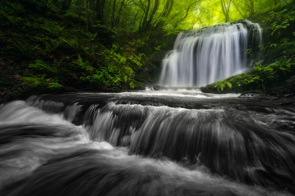 Фотография автора Jorge Rey Azabal