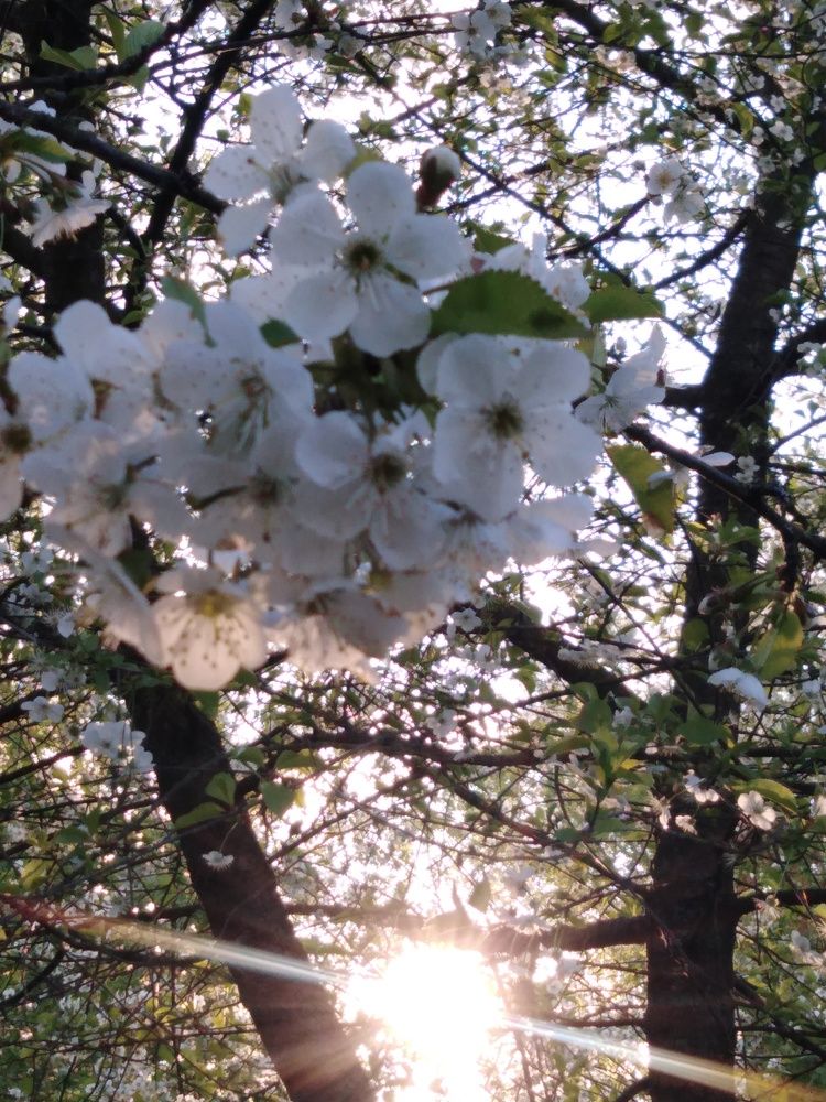 Photograph by Янина Милош