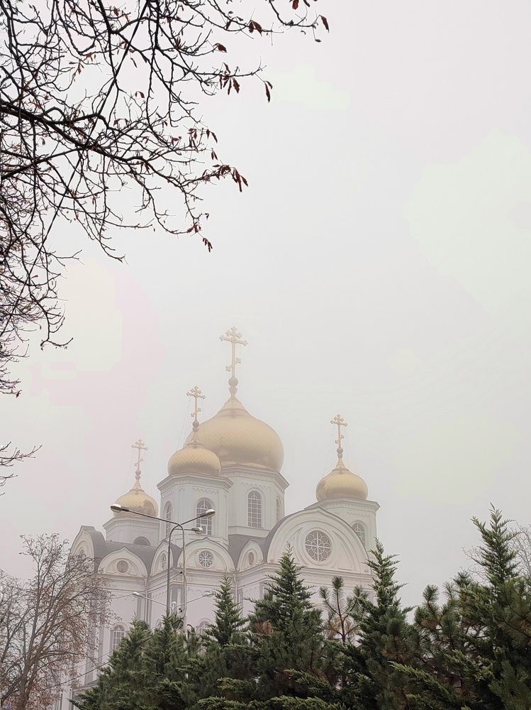 Photograph by Olga Gorokhova
