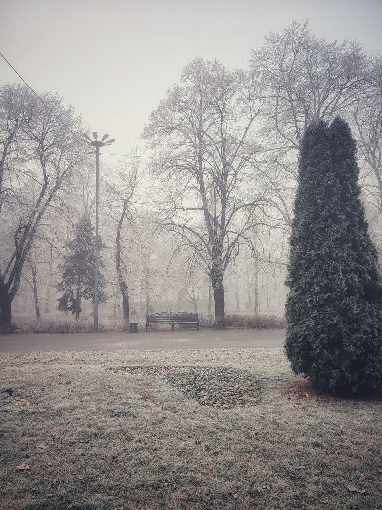 Photograph by Olga Gorokhova