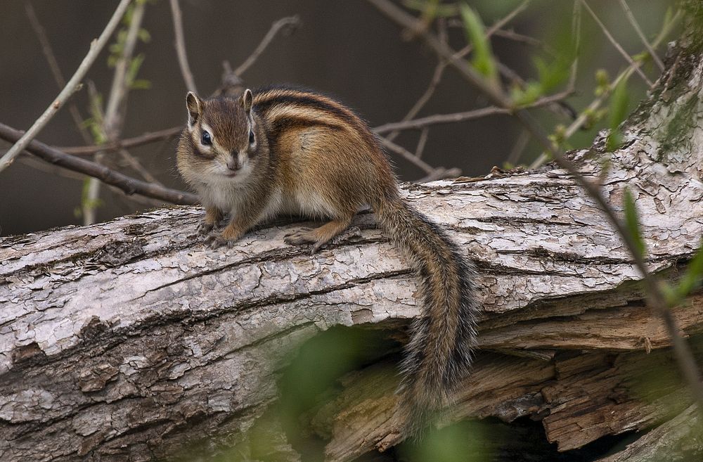 Photograph by Анкудинов Максим