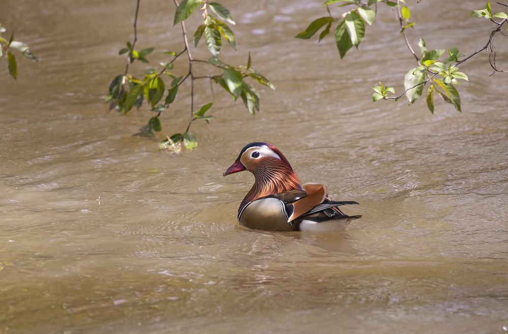 Photograph by Анкудинов Максим