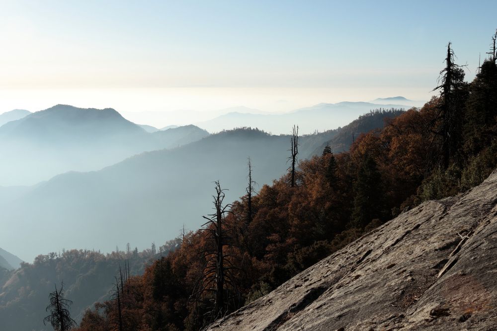 Photograph by Евгений Власов