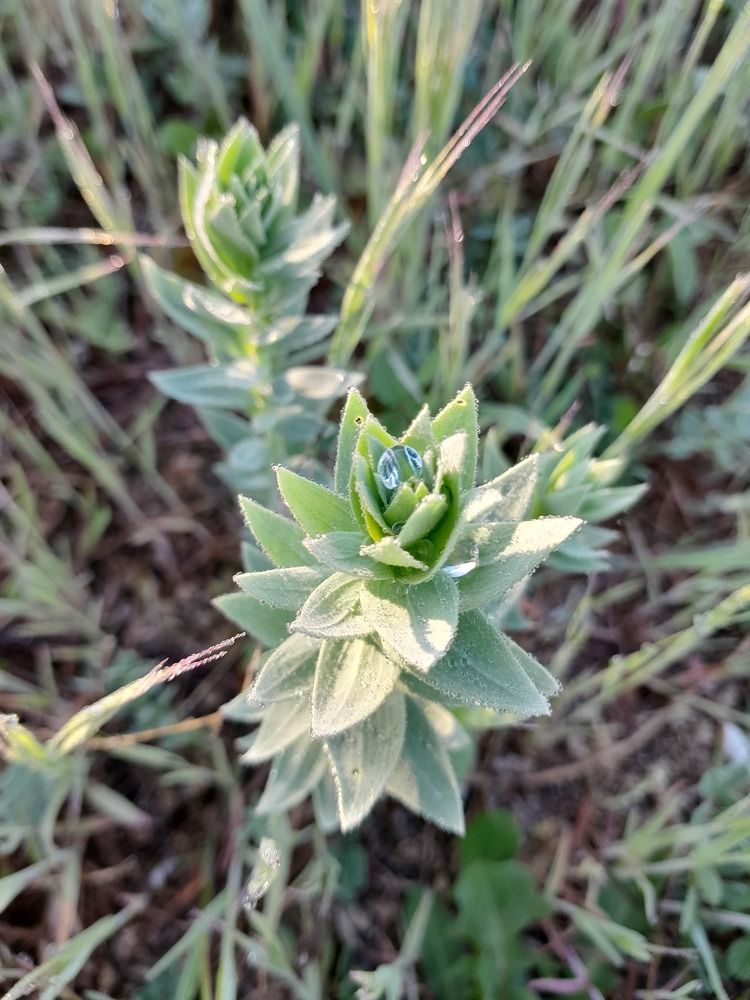 Photograph by Татьяна Ситникова