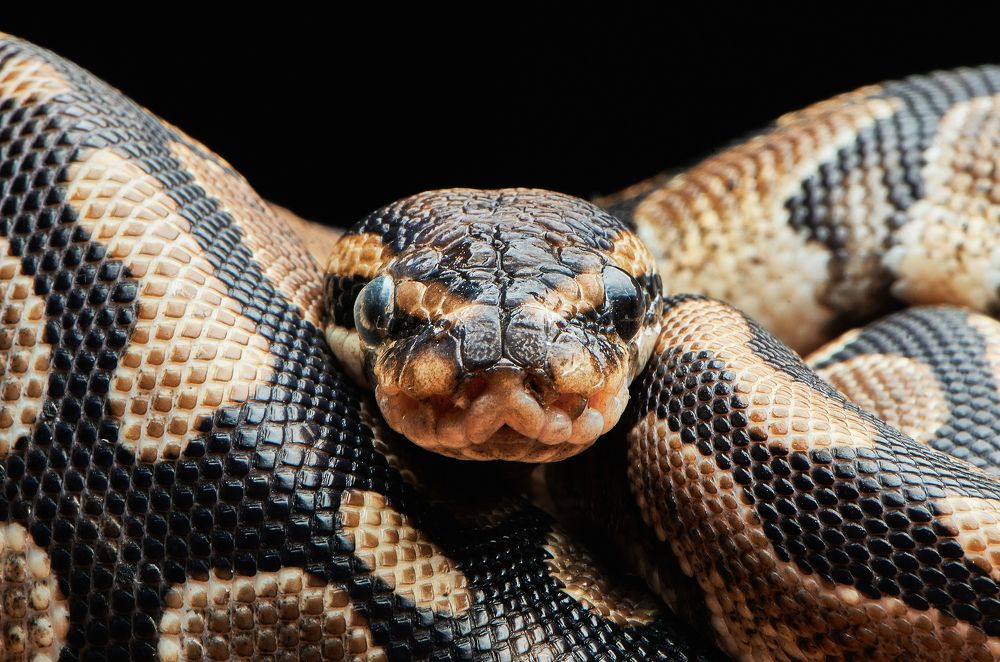 Photograph by Масленников Сергей