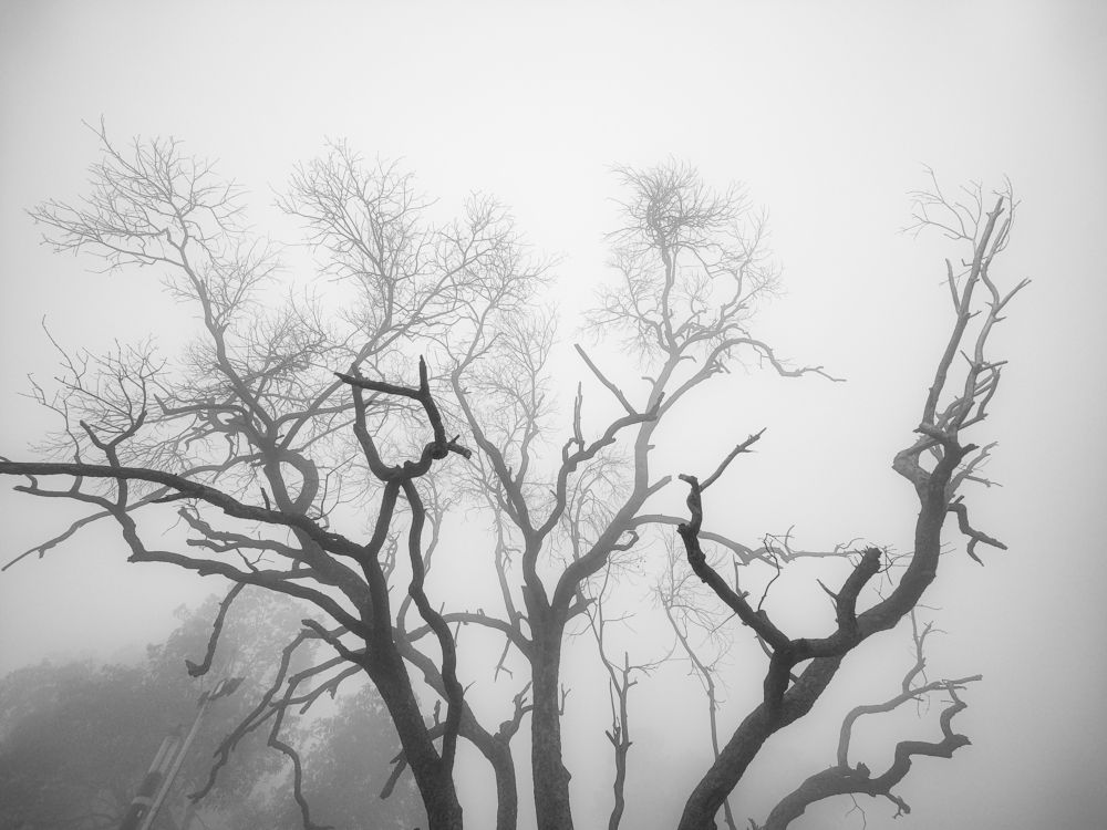 Фотография автора Anuj Medhavi