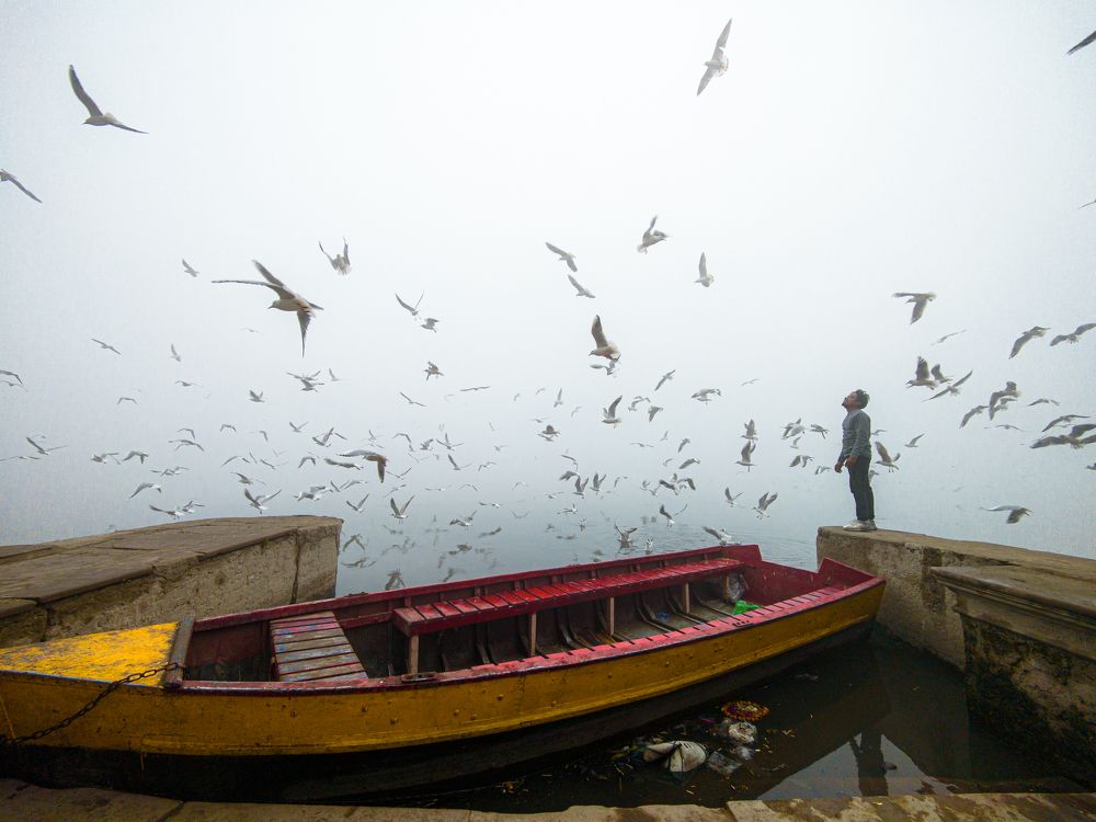 Фотография автора Anuj Medhavi