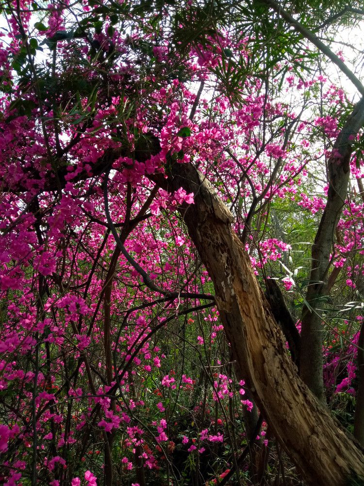 Photograph by Utkarsh Chauhan