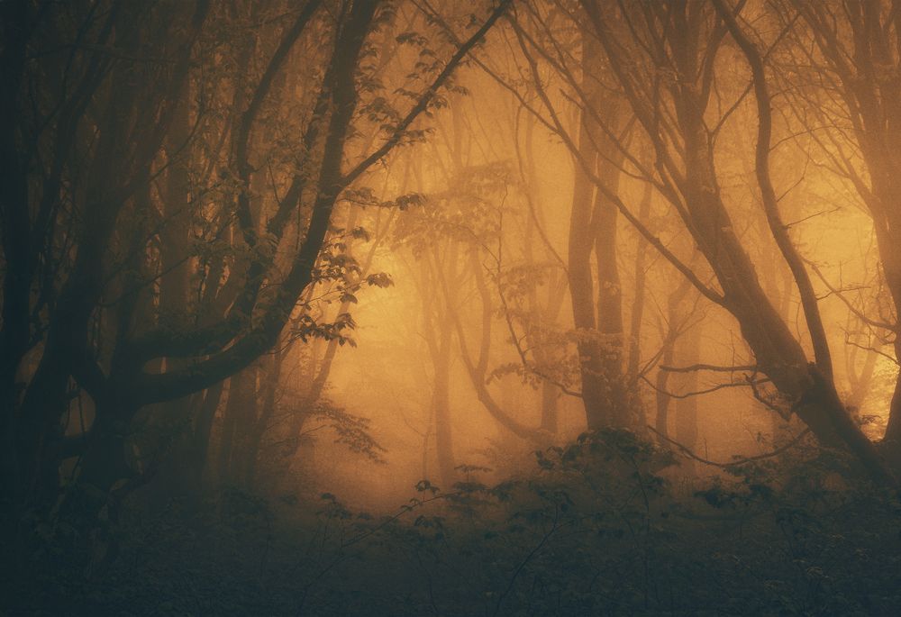 Photograph by Владимир