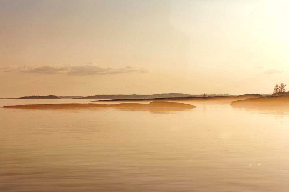 Photograph by 
