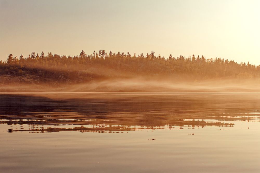 Photograph by Юлия Зубкова