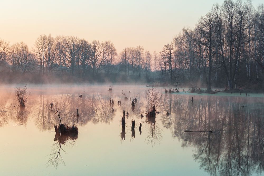 Фотография автора Наталья Дороднова