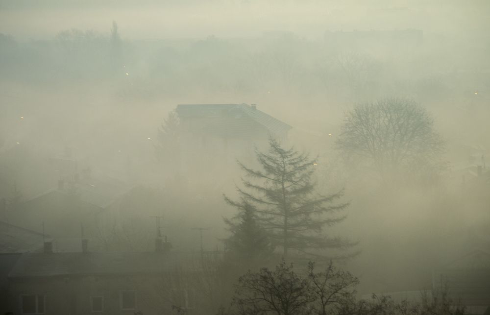 Photograph by Dariusz Gruszka