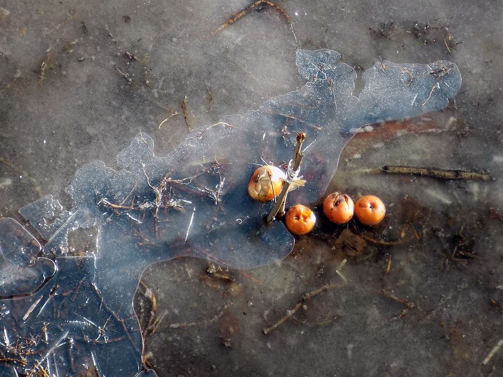 Photograph by Серега Вартман