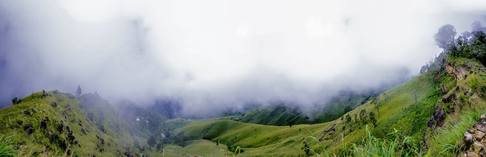 Photograph by Chamara Sulakkhana Polwatta Siriyalage