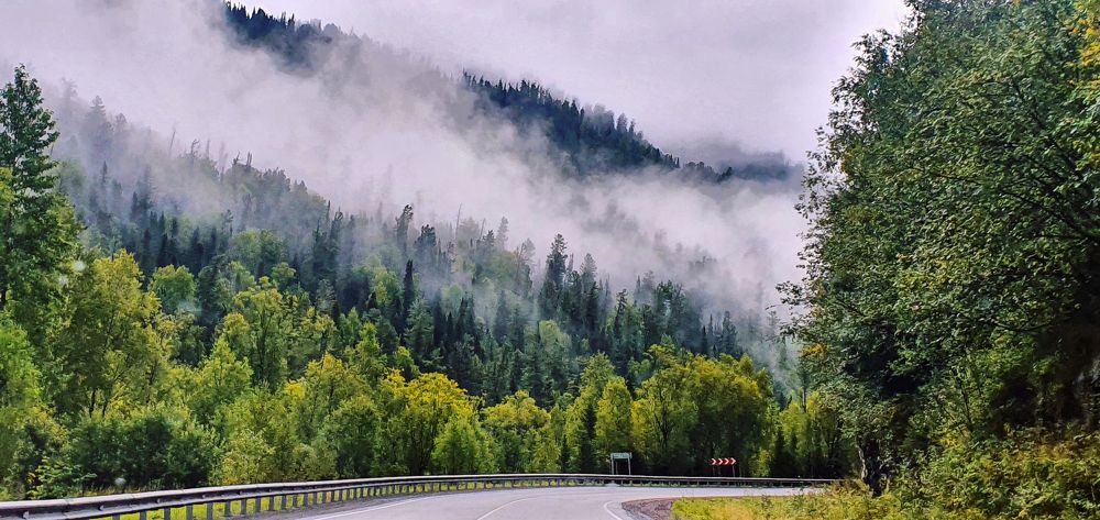 По дороге в туман.