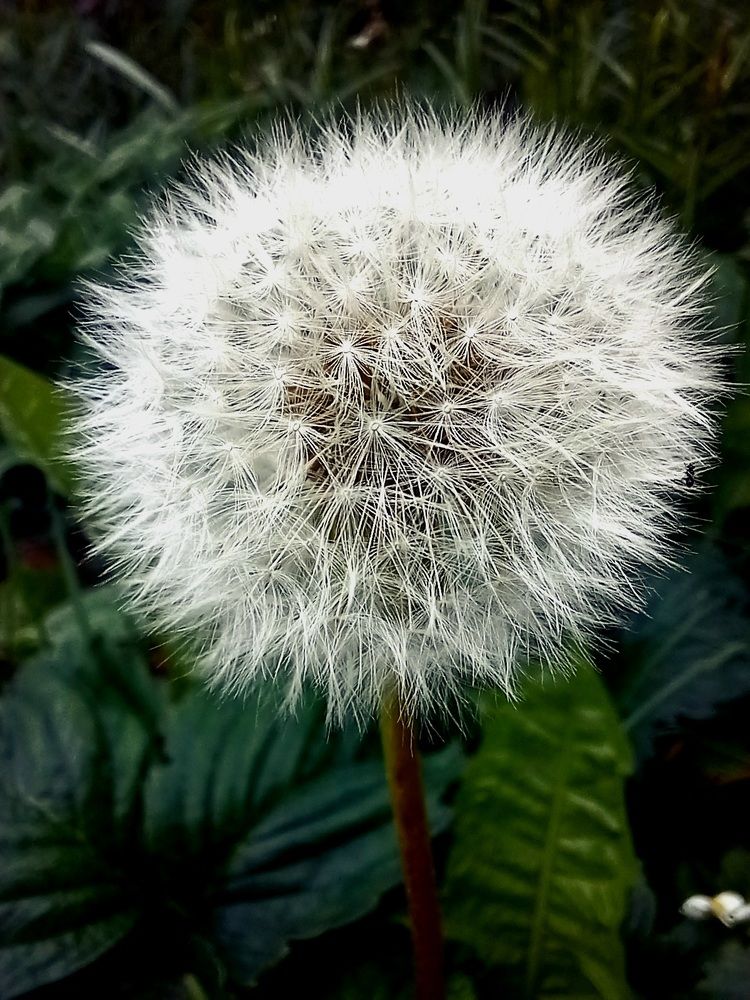 Photograph by Наталья Покрепина