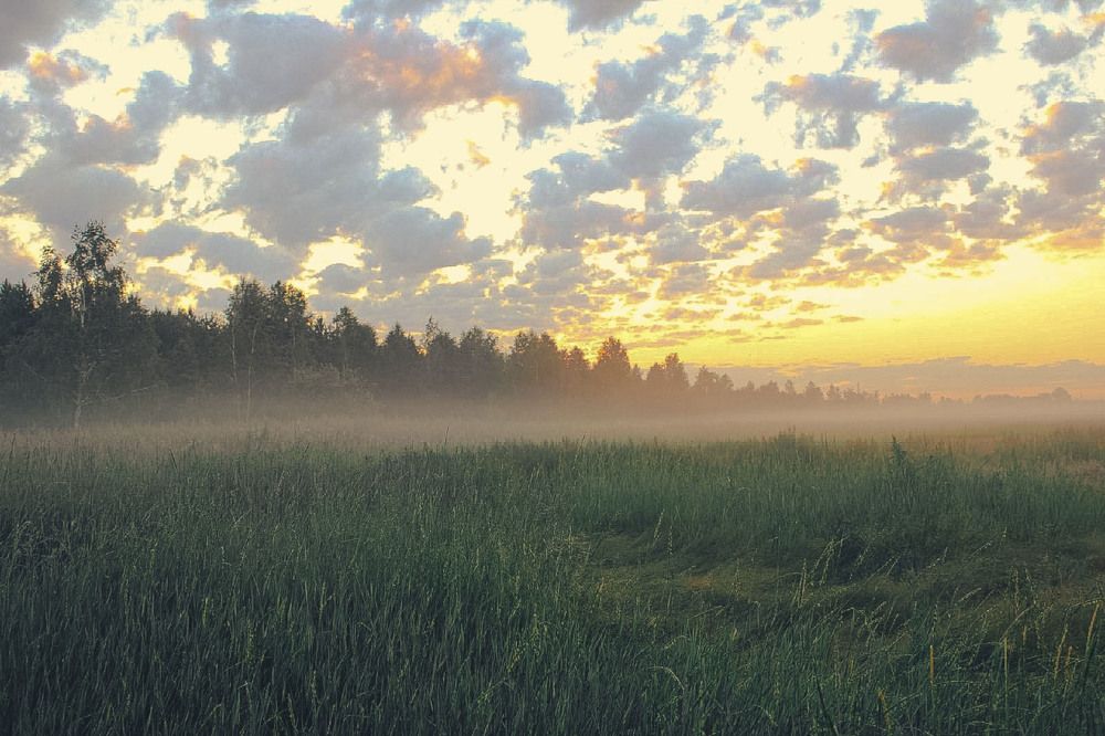 Photograph by Андрей Астафьев