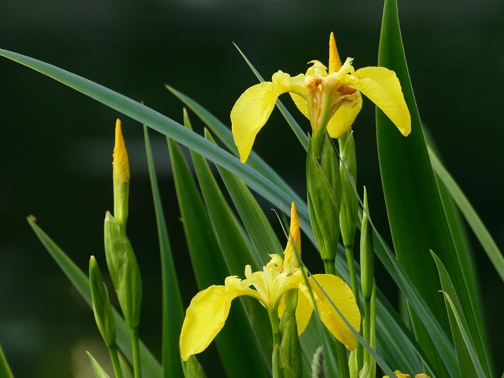 Photograph by Александр Кизим