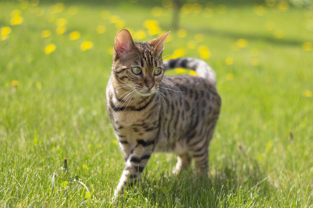 Photograph by Анастасия Северюхина