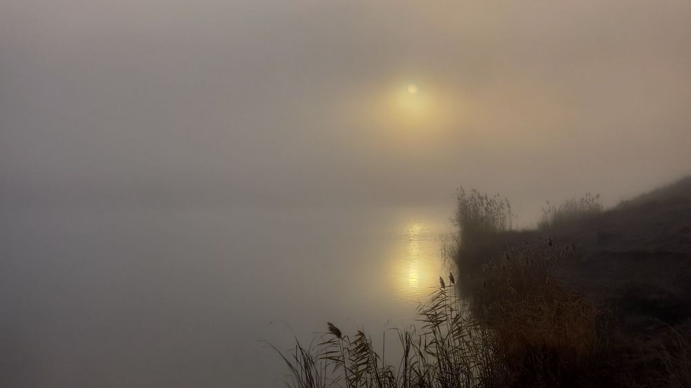 Photograph by Сергей Кравченко