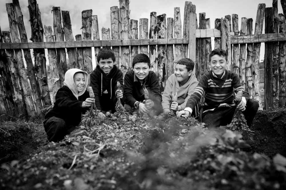 Niñez nunca envejezcas